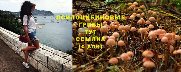 mdma Магас