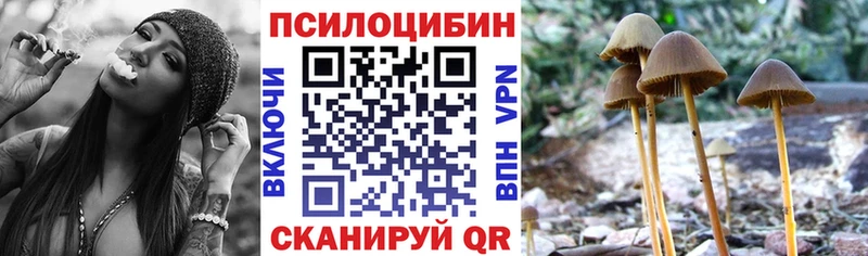 Галлюциногенные грибы мухоморы  Электроугли 